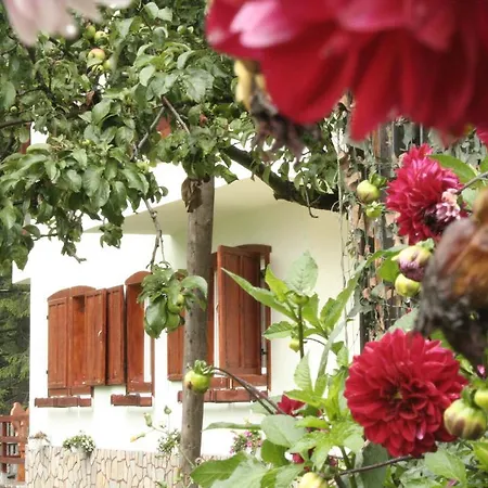 Villa Brandusa
